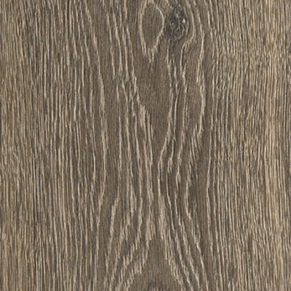 Rovere Europeo